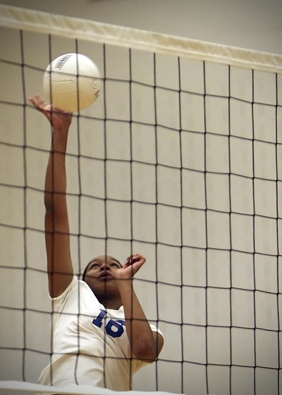 volleyball, player, female, athlete, ball, competition, active, athletic, girl, action, game, net, volley, hand, indoor, brown gaming, brown game, brown games, volleyball, volleyball, volleyball, volleyball, volleyball